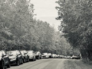 IMG_6781