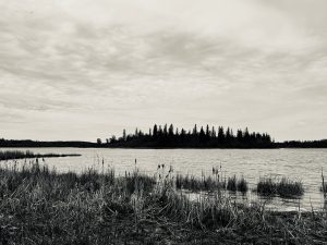 IMG_6783