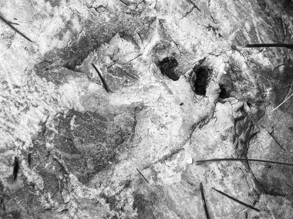 alien mine