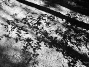 roles perspectives IMG_9131