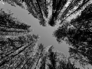 IMG_9137